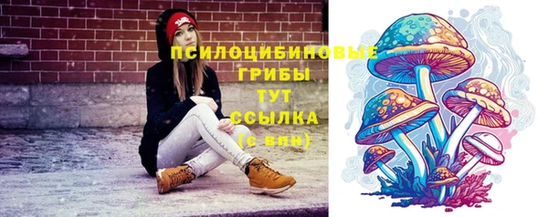 mdpv Пересвет